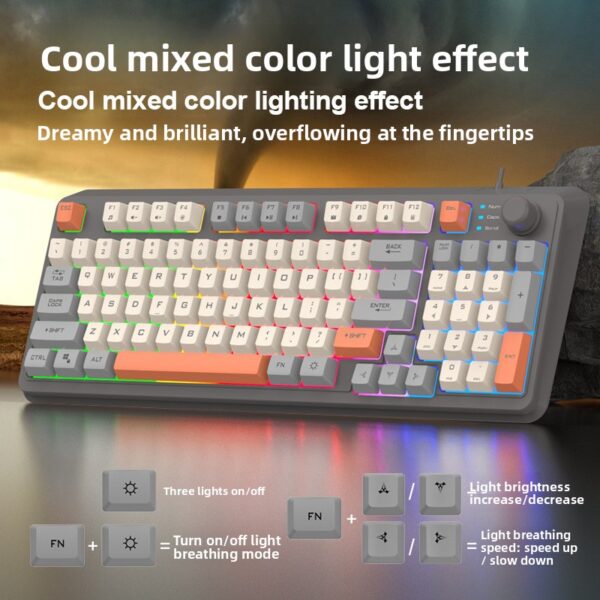 Xuan Silver Fox K82 Wired Gaming Keyboard with RGB Backlight