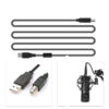 BM-700 Microphone set