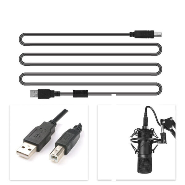 BM-700 Microphone set