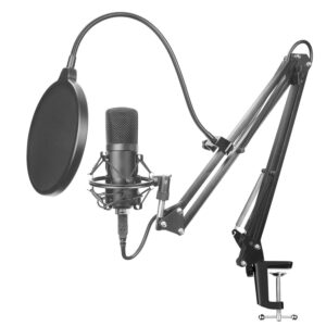 BM-700 Microphone set