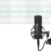 BM-700 Microphone set